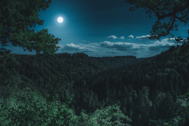 Full Moon Nuptials